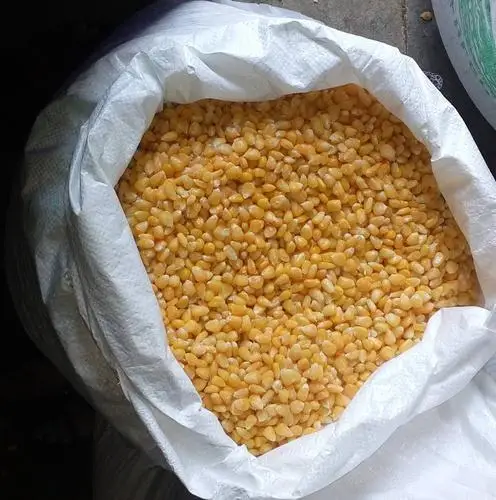 Dry Maize / dried Yellow Corn / dried Sweet Corn Best Price