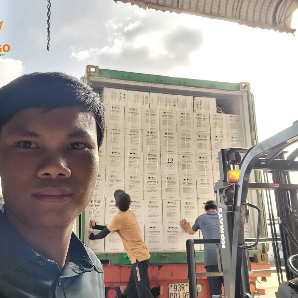 Wholesales Vietnam Cashew Nuts W320 W240 Cashew Nuts Cashew Nuts OEM, ODM, W/A +84932.028019