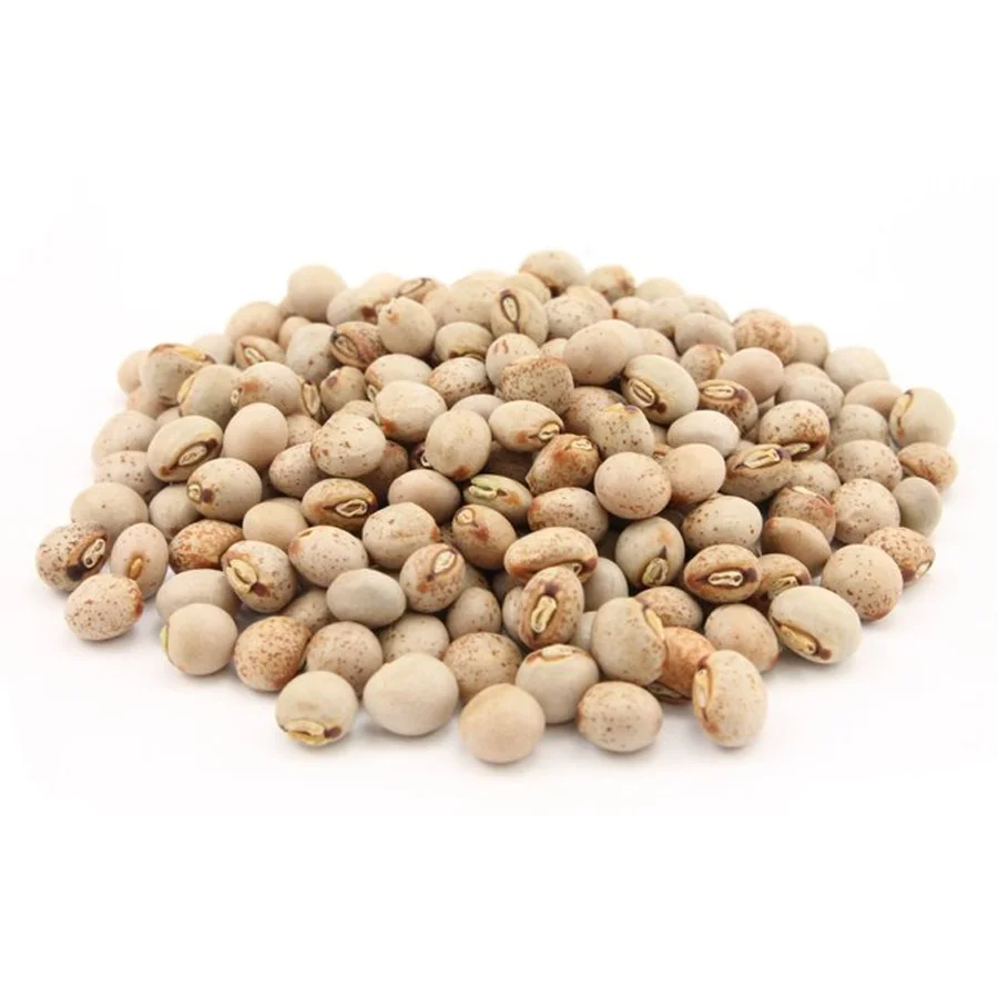 Chick Peas Size - 9 Mm Count- 58-60 Chickpeas from IN;36115 Kabuli Dried Light AD COMMON Cultivation