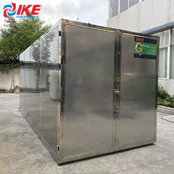 IKE Heat Pump Industrial Small Cocoa Peanut Seed Dryer Coffee Bean Betel Nut Pepper Garlic Dehydrator Herb Spice Drying Machine