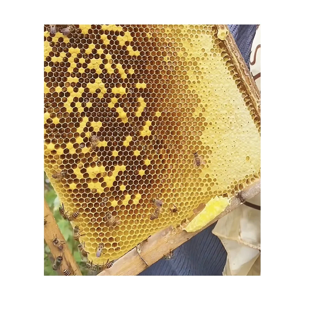 Shelf Type Honey Use Skincare Place Vip Dry Packaging HMF1kg pure honey price Forest Honey From Vietnam