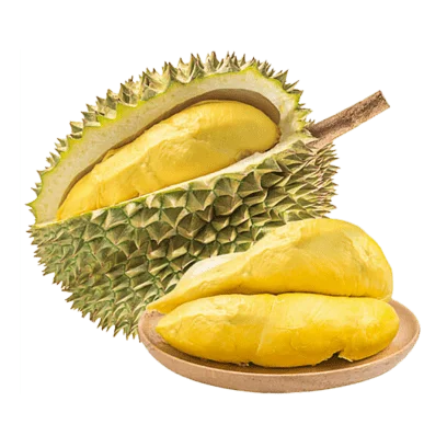 PREMIUM FRESH DURIAN FROM VIETNAM AT BEST PRICE/ VDELTA