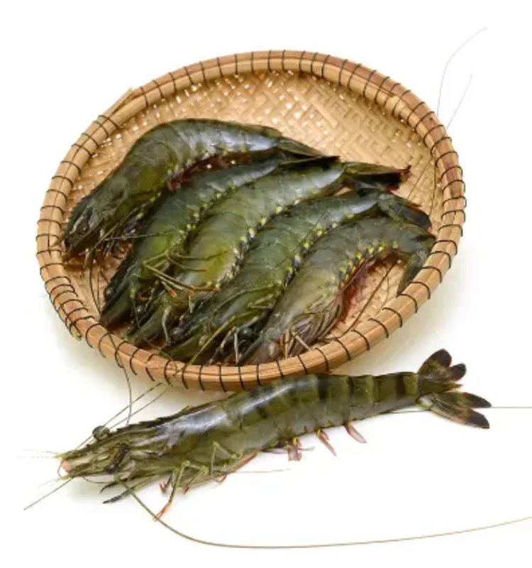 Свежие замороженные креветки черный тигр рыночная цена Высокое качество Цельный весь