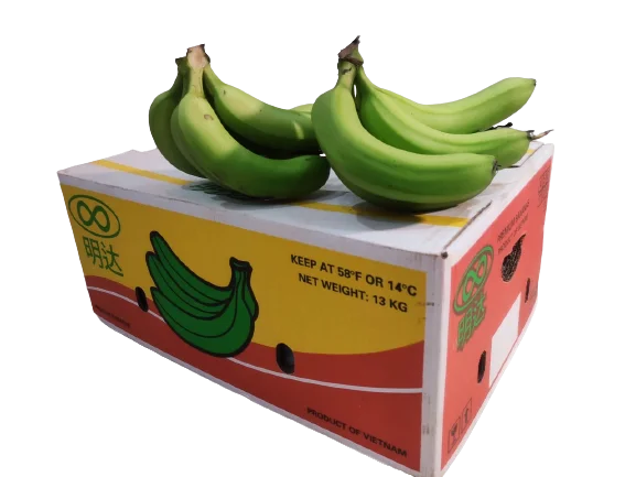Wholesale Grade A789 Cavendish Banana Top Price For Export From Vietnam Best Selling Manufacturer OEM ODM Custom Accept Order