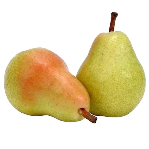 Fresh Fruit Pears Sweet Su Pears Wholesale Fresh Golden Pear Fruits Exportable Available Good Price Ready To Ship from Uttar Pra