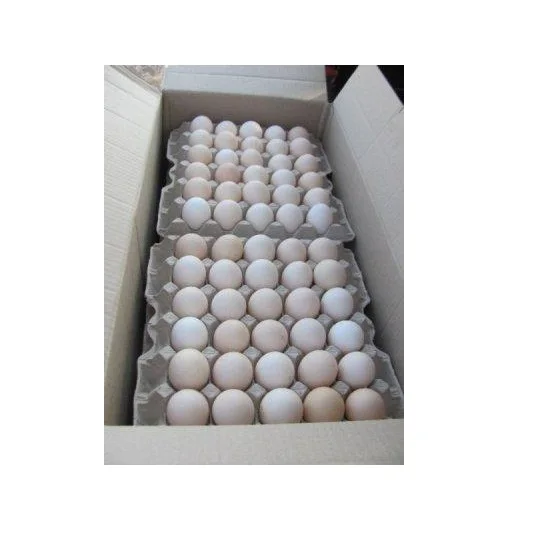 BULK FRESH TABLE EGGS - Fresh Chicken Table Eggs/Fresh Chicken Hatching EGGS