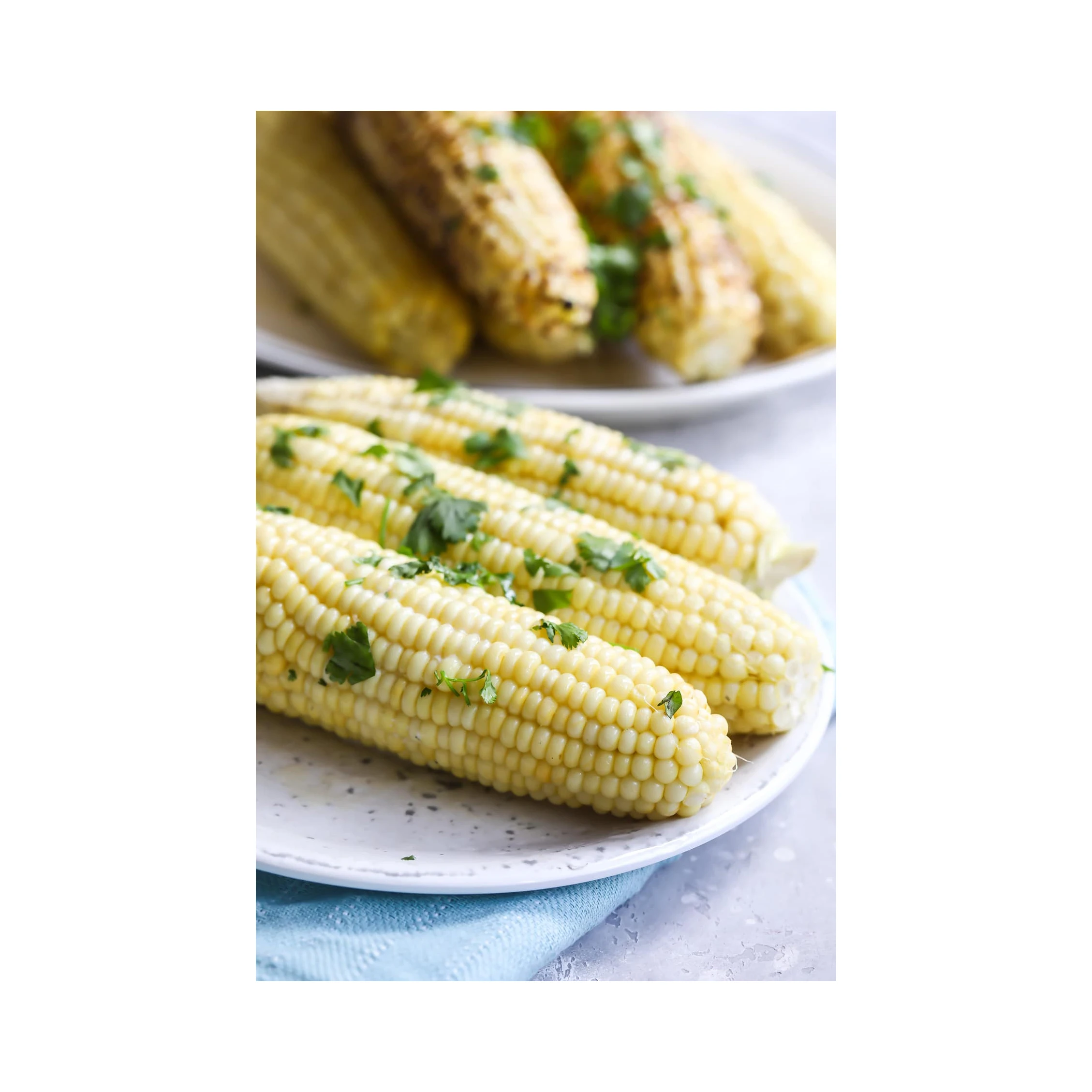 Best Price Agricultural Product White Corn/ White Maize, Dried White Corn, Popcorn, White Corn Maize