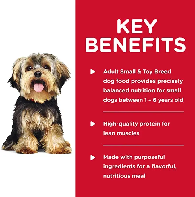 Wet Dog Food, Adult, Small Paws for Small Breeds
