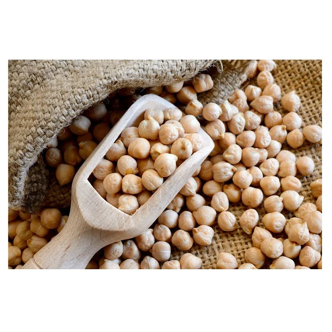 Non-GMO Large Size Highest Grade Bulk 20-50 kg 8-10 mm Chickpeas From South Africa Natural Chick Peas for Food