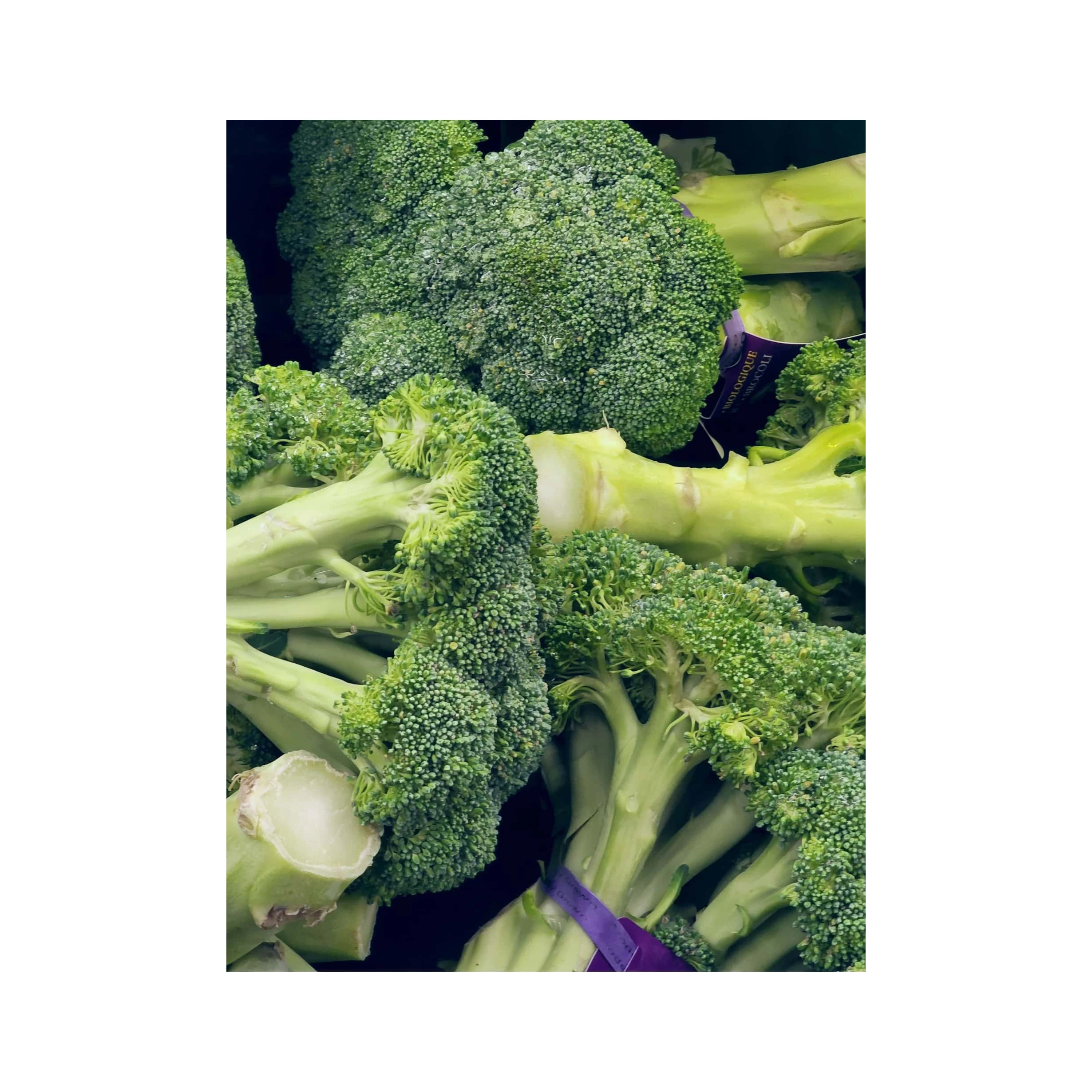 Good Quality Wholesale Fresh Broccoli Hot Sale High Quality Fresh Broccoli Factory Low Price Broccoli