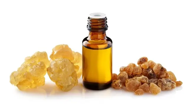 100% Natural Galbanum Essential Oil Cosmetic Grade Available in 25kgs & 180kgs Packaging