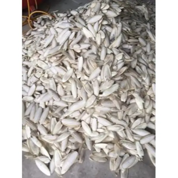 Dried Birds Feed For Sale Best Natural Colour Cuttlefish Bone,Squid Bone