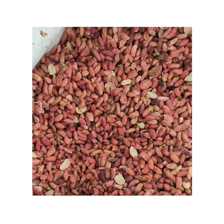 Wholesale Natural Organic Premium Grade Pealed Peanut Kernels For Processing Into Oil Laser Sorting Peanuts Nuts & Kernels