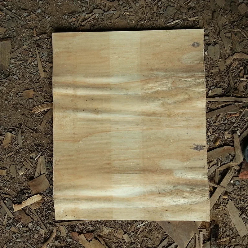 Cheap Price A Grade 100% core Rubber Wood Veneer Wood Face Rubber Veneers For Making Plywood Furniture From Vietnam