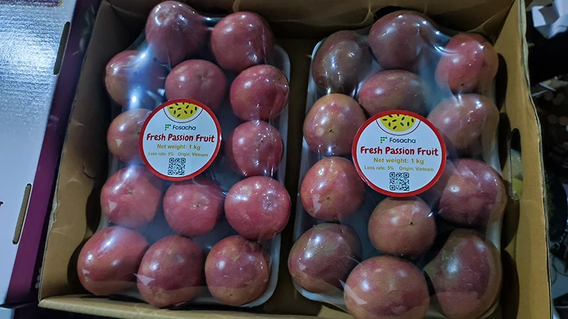Organic Vietnamese Passionfruit Fresh Harvest With Natural Flavor Healthy Exotic Fruit