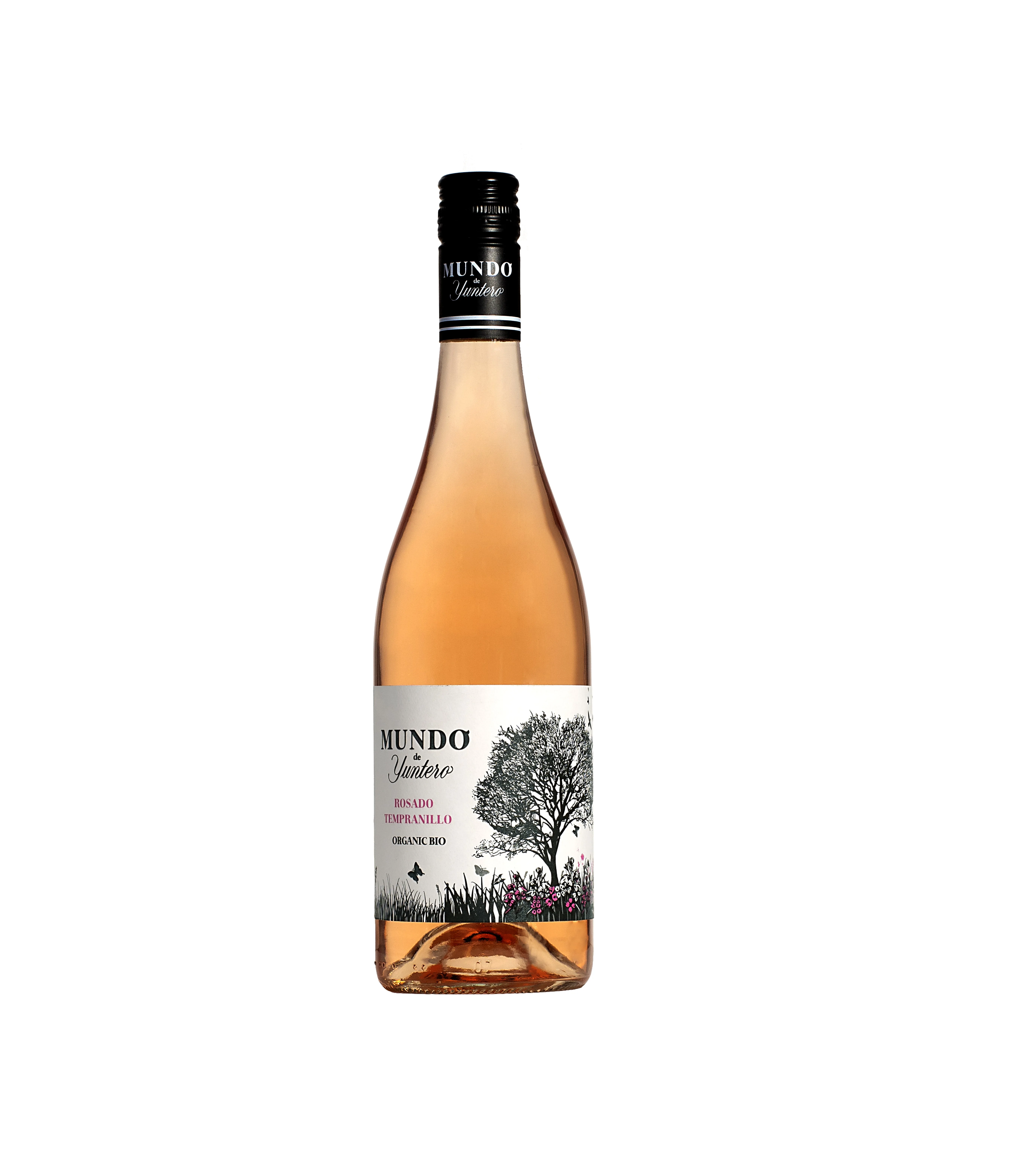 MUNDO DE yuntero Темпранильо Роза