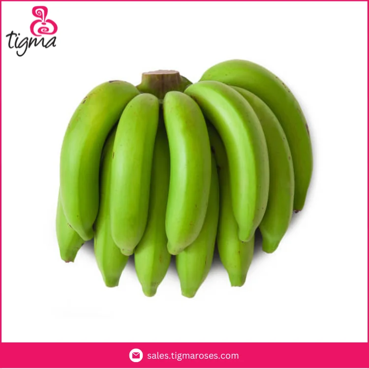Latest Stock Arrival Best Selling Organic Fresh Cavendish Banana Ready To Ship from Ecuador