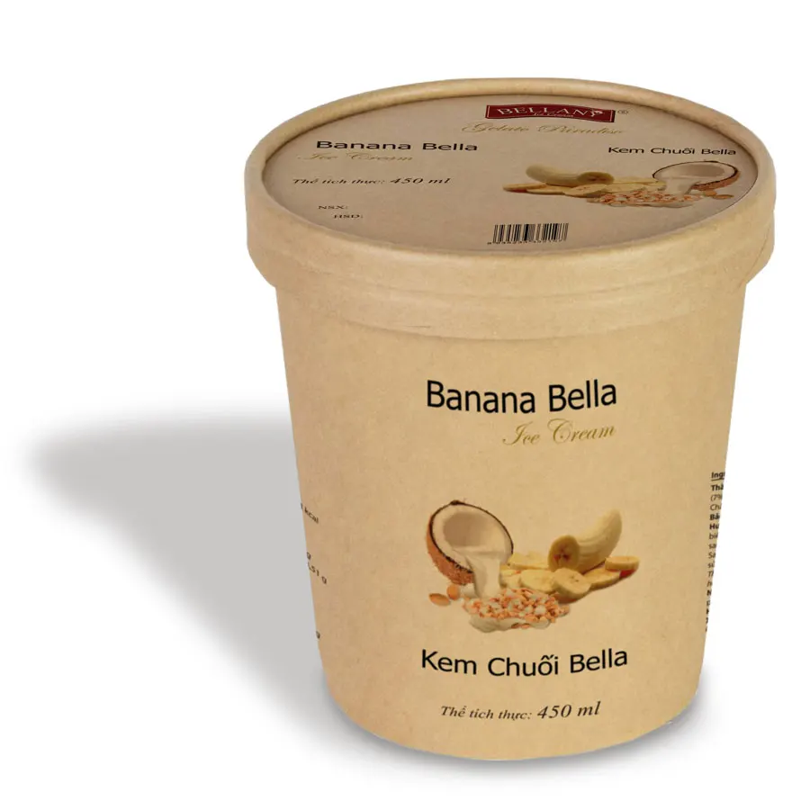 High quality Banana Ice Cream and Best Price Coconut Banana Ice Cream in Variety of Flavors from Vietnam