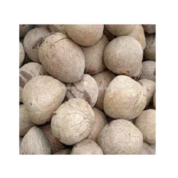 Hot Selling Edible Coconut White Copra Bulk Purchase Drying Fruit Dry Coconut Copra / Whole Dried Coconut Export