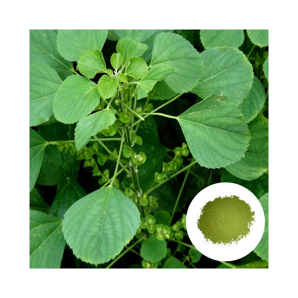 Buy 100% Natural Kuppaimeni Skin Care Powder Online At Best Market Price