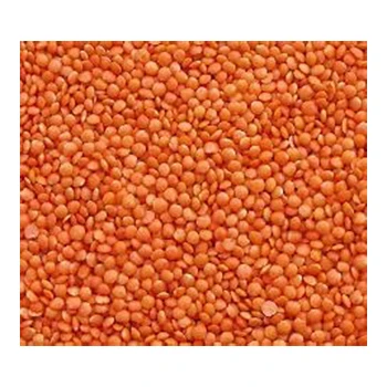best quality Red Lentils for sale Wholesale High manufacturer new Best material With cheap rate
