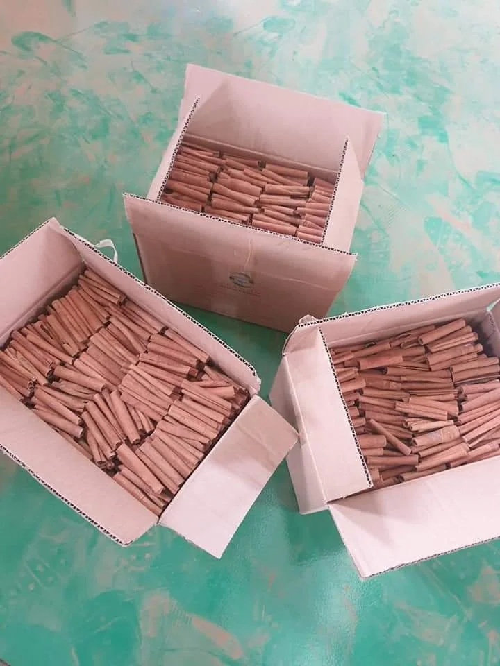 100% Dried Cortex Cinnamon Cassia Stick / Good Factory Price For Export / Vietnam