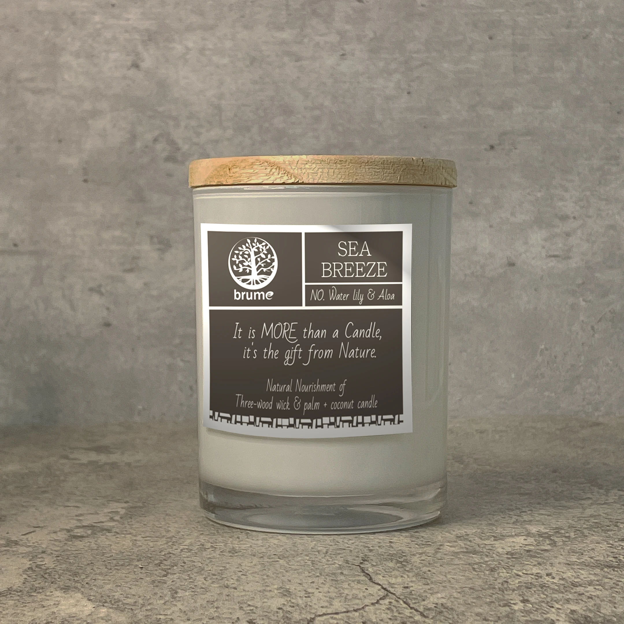 OEM Sea Breeze Scented Candle (Water Lily & Aloe Essential Oil)