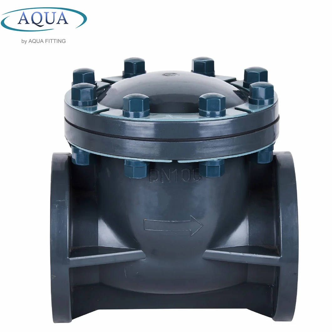 PVC Plastic UPVC Manual Valve Pipe Wafer Non Return Swing Type Check Valve