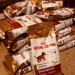 Dry-Dog-Food.jpg