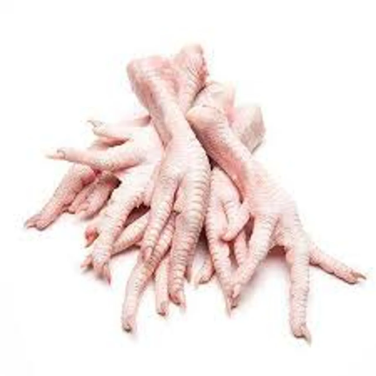 Halal Frozen Whole Duck/ Frozen Duck Feet and Duck Gizzards