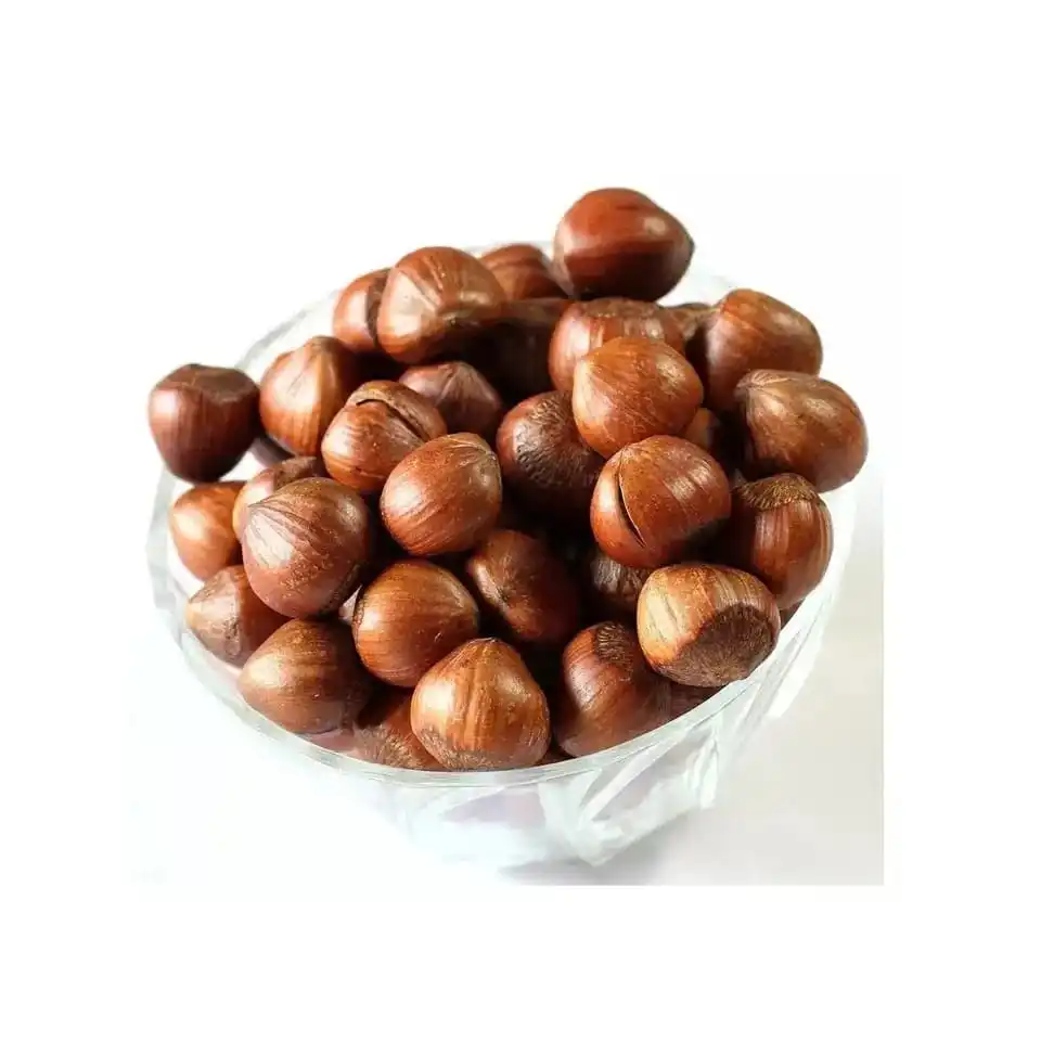 Hazelnut For Sales | High Quality Hazelnut With Good Package| Hazelnut Cheap Price