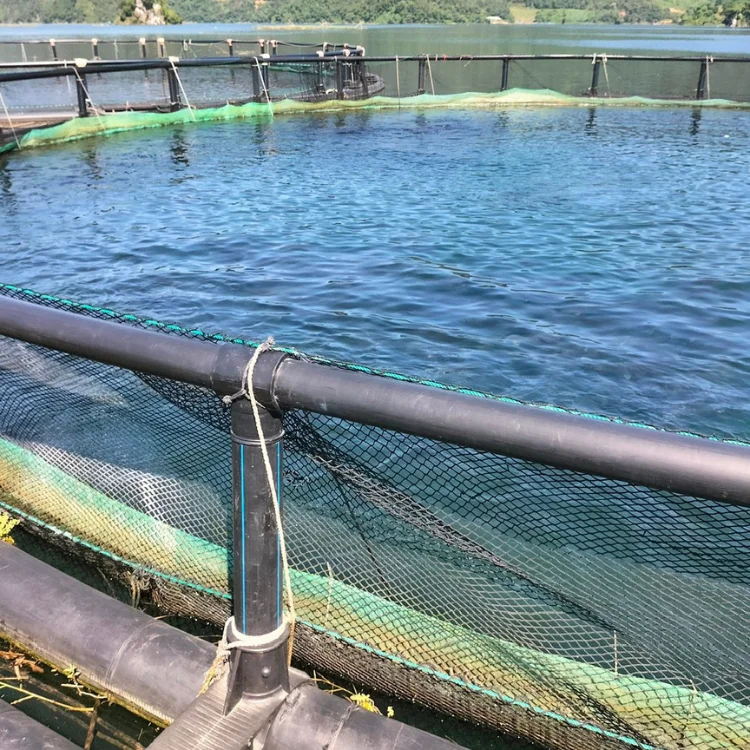 Cages For Raising Large And Small Fish River Fish Cages Lake HDPE Vietnamese Manufacturer Vietnam Wholesale