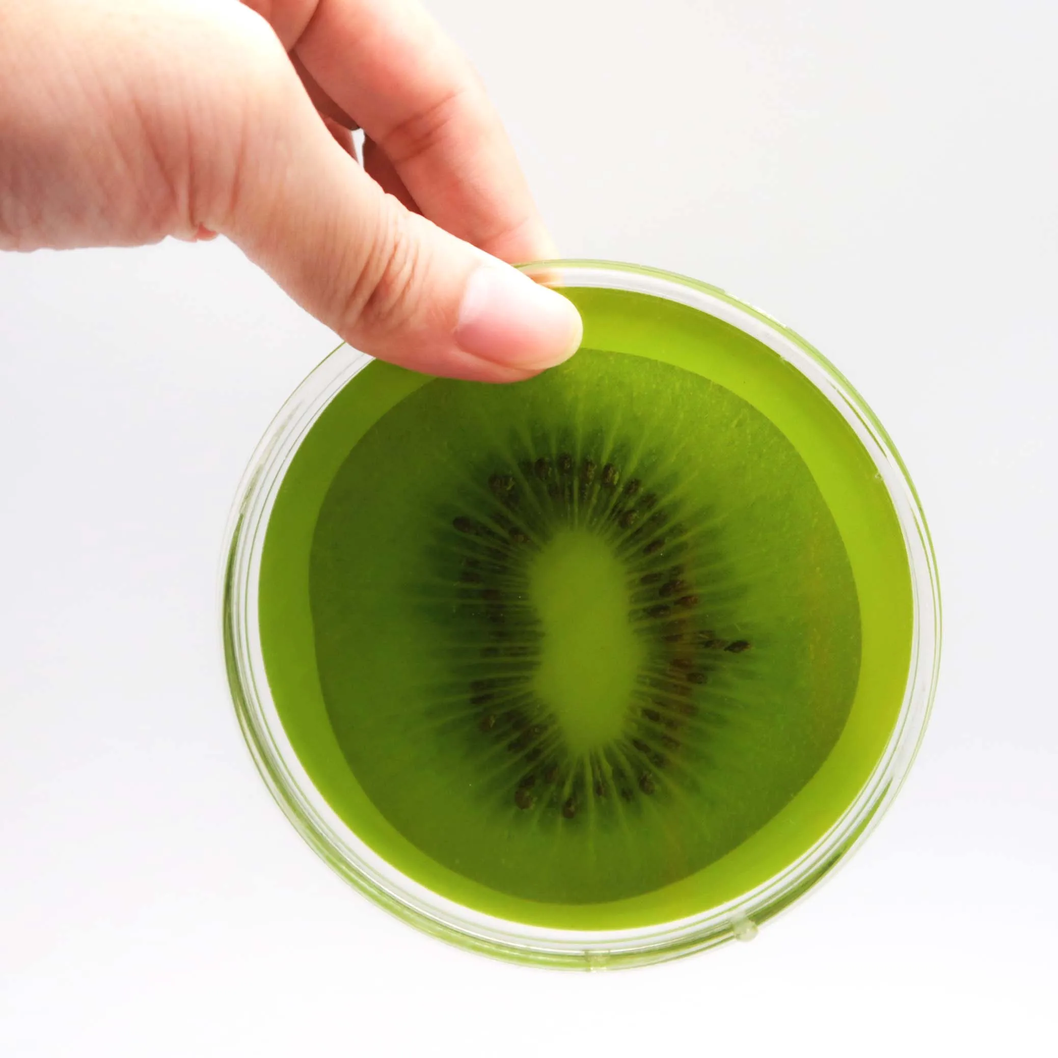 Kiwi Pattern floating coaster 4-inch Round Personal unique gift