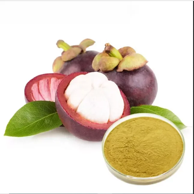 Ciyuan Good quality Mangosteen Peel Extract Freeze Dried   from germany