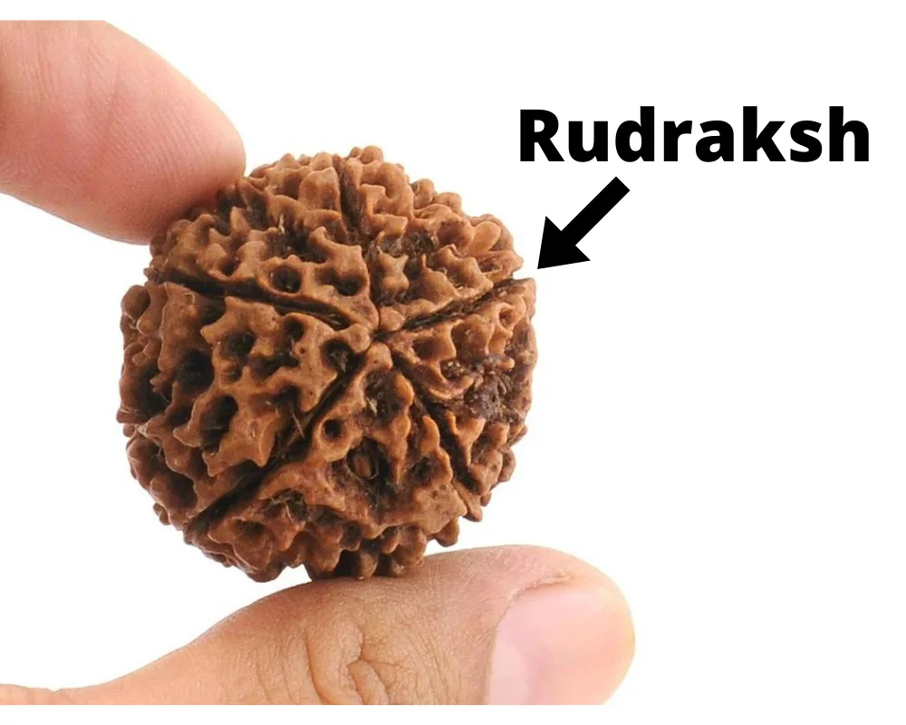 Wholesale Price Rudraksha Beaded Mala Bracelet 108 Beads 5-9 mm Religious Hindu Prayer Meditation Beads Mala for Wedding Gifts