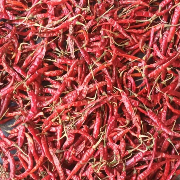 Сушеный перец чили красный Вьетнам оптом сушеный травы и специи продукты для лучшей
