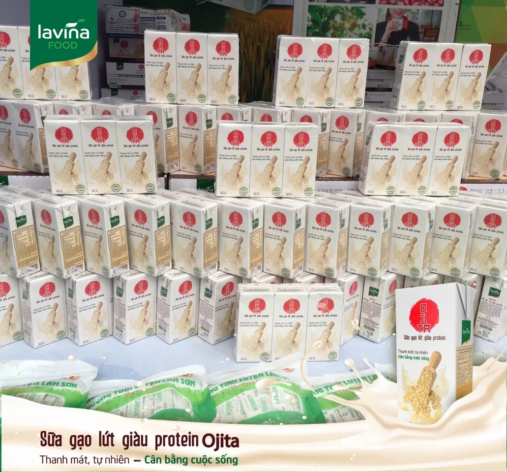 Premium quality Rich Nutrient Ojita High Protein Brown Rice Milk Daily Use Carton Box OEM Manufacturer From Vietnam
