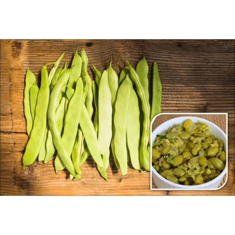 Лидер продаж экспорт для лабораторных бэнов (пансон) в баночке