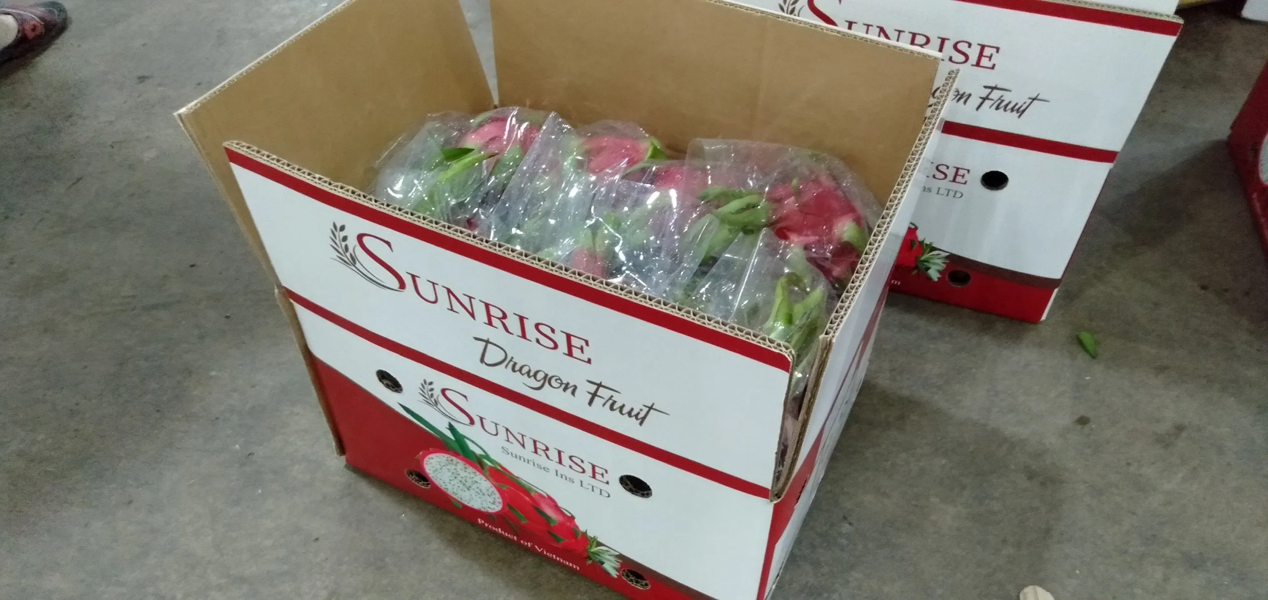 Soft Dried White/Red Dragon Fruit / Pitaya Fruit for export 2022 (Mobile/ WA: 0084 866 078 412 Joyce)