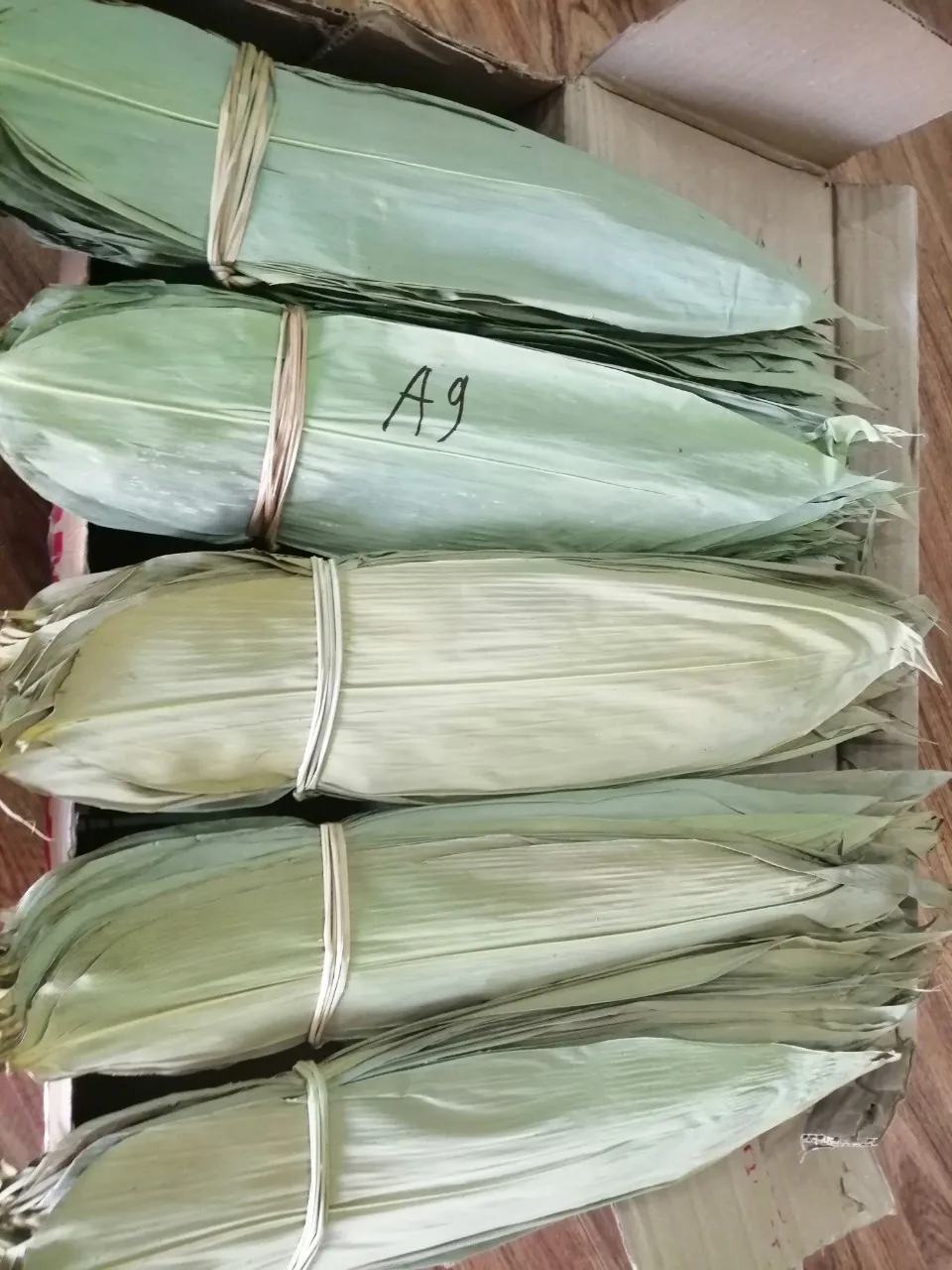 Big Size Bambo Leaves for Wholesale Vietnam Dry and Frozen 7 - 15 Days T/T 40% 60% +84984418844 100kg 40 up Piece