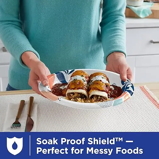 Eco-friendly Disposable 10 Inch Paper Plates Ideal for Parties Picnics and Catering 300 GSM SBS Virgin Board Plates for Sale