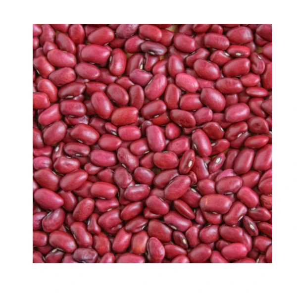 Kidney beans, Black, Red White kidney beans available