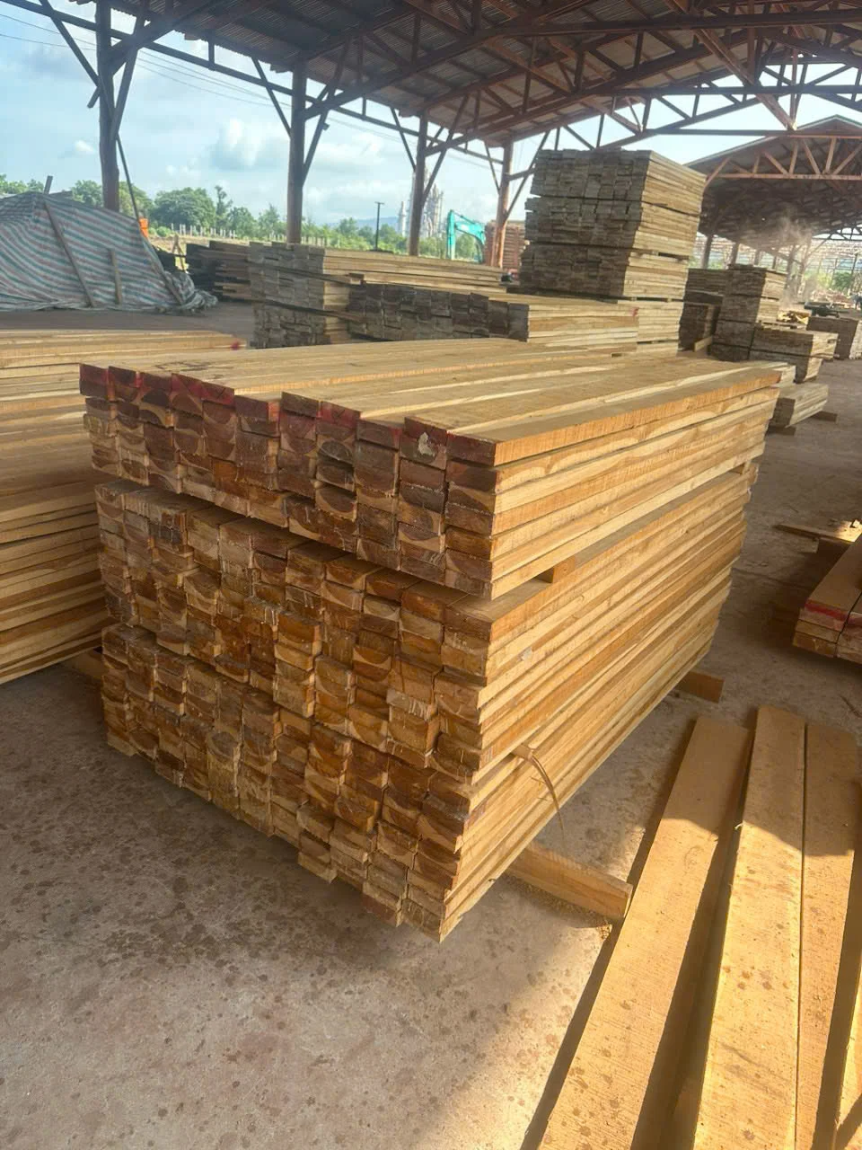 Premium Quality Teakwood Logs Raw Material Clean Cut Rough Squares Excellent Value!