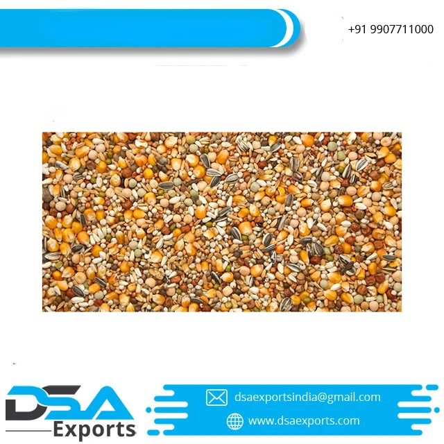 Best Quality Pet Food Bird Seed Feeder Pigeon Food Natural Mix Seed Fresh Bulk Style Storage Packing