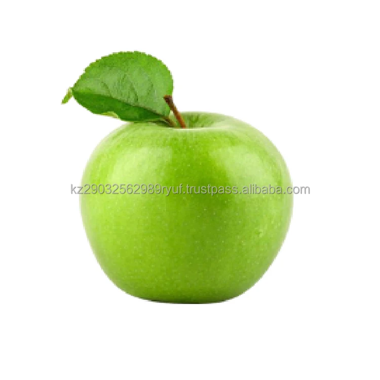 Apples juicy and fresh fruit high yield level early fertility transportability wholesale low price