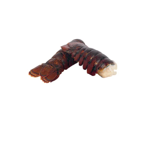 Fresh and frozen Lobster - Live Lobster - Fresh Lobster for sale.