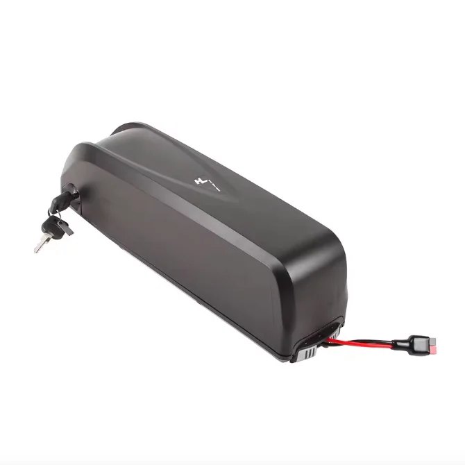 36V 48V Hailong Plus Downtube Type 65pcs 18650 Cell Electric Bicycle Lithium Battery