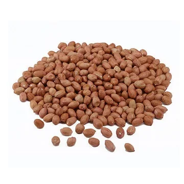 Reasonable Price Bulk Selling High Nutritive 100% Natural Peanuts Kernel / Groundnut Buy From Indian Wholesaler