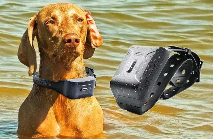 waterproof pet training LTE/GPRS/gps tracker collar 4G GPS locator for pets