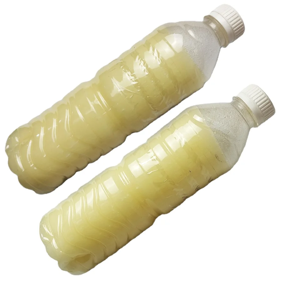 Good Quality RBD Palm Kernel Oil - Indonesian Refined Kernel Oil bulk for butter cooking material